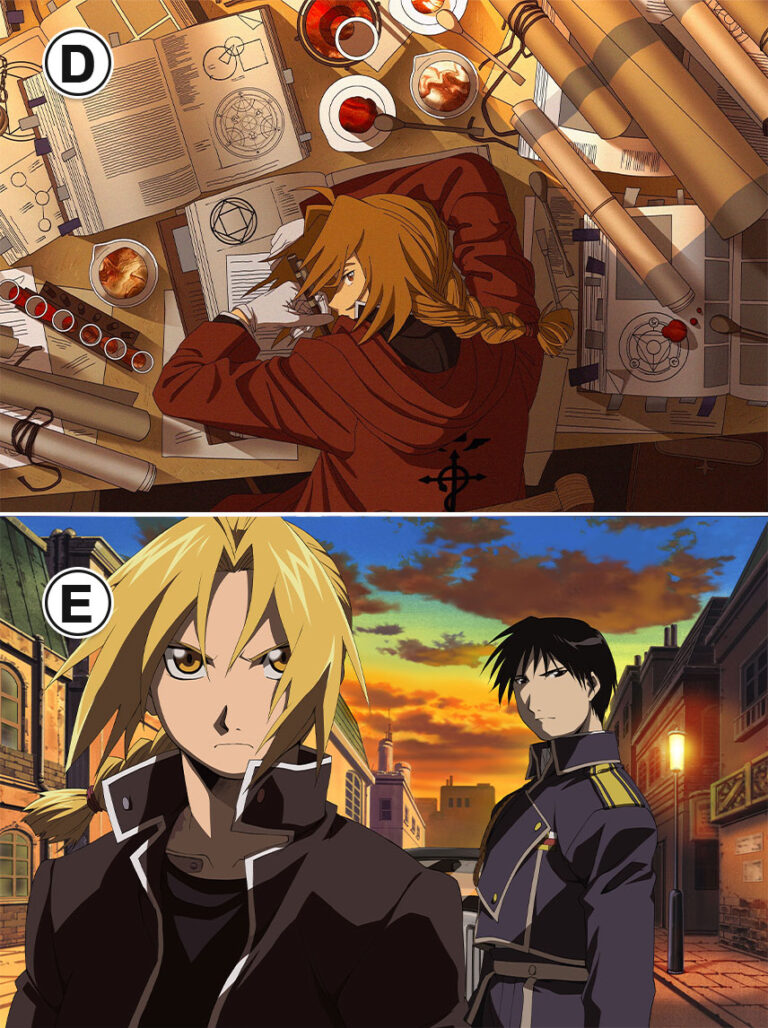 Full Metal Alchemist Brotherhood Manga