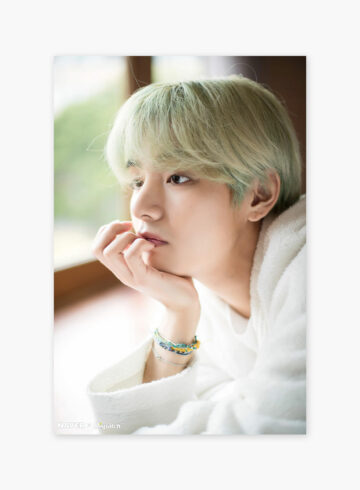 BTS Poster V