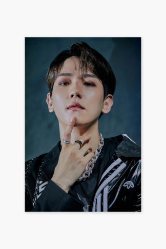 Baekhyun Poster