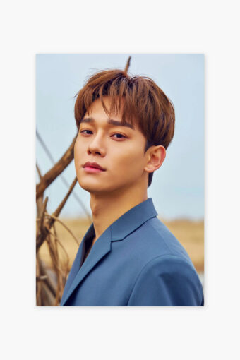 Chen EXO Poster