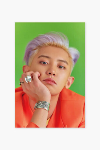 EXO Poster Chanyeol