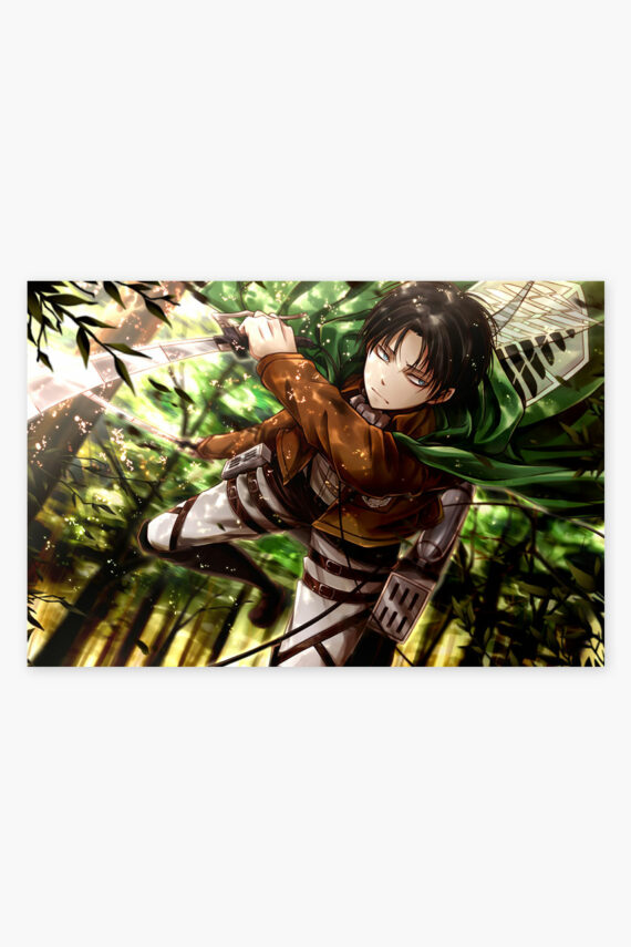 Levi Poster