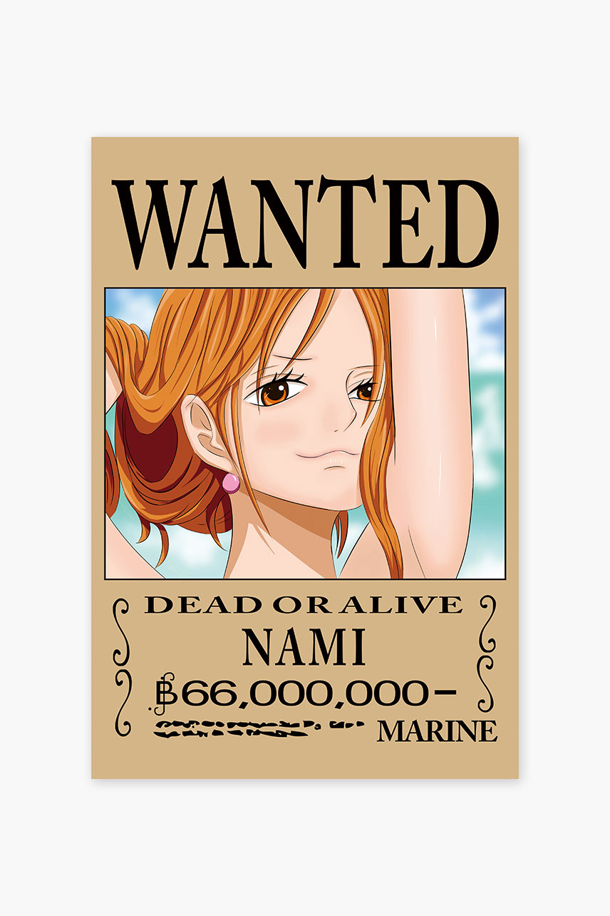 One Piece anime Wanted Poster - Dragon Bounty official merch | One Piece  Store