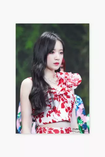 Shuhua Poster