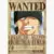 One Piece Zoro Wanted Poster